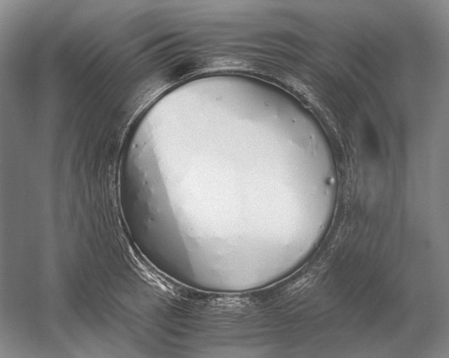 X0000060781137200512011631
