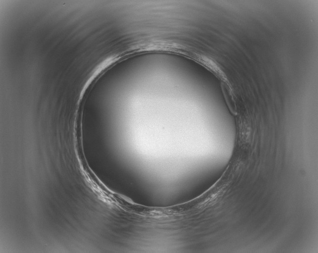X0000060781138200512011632
