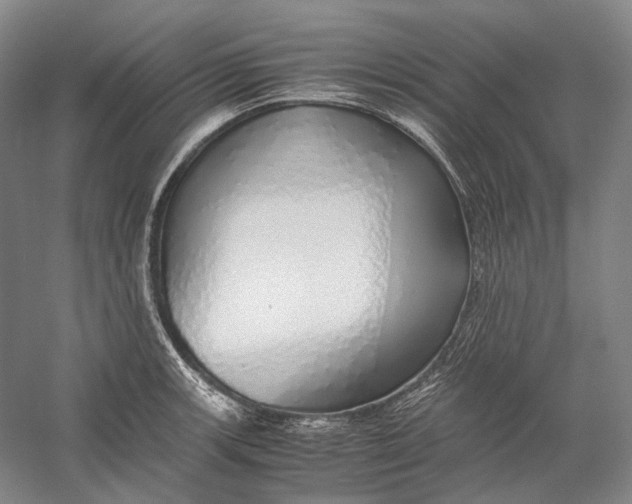 X0000060781139200512011632