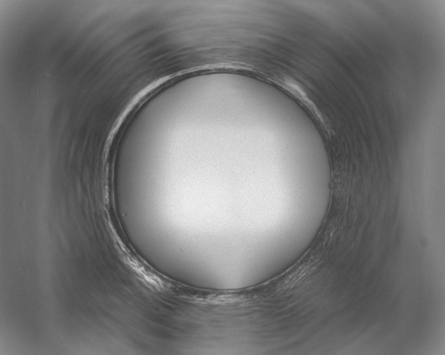 X0000060781140200512011632