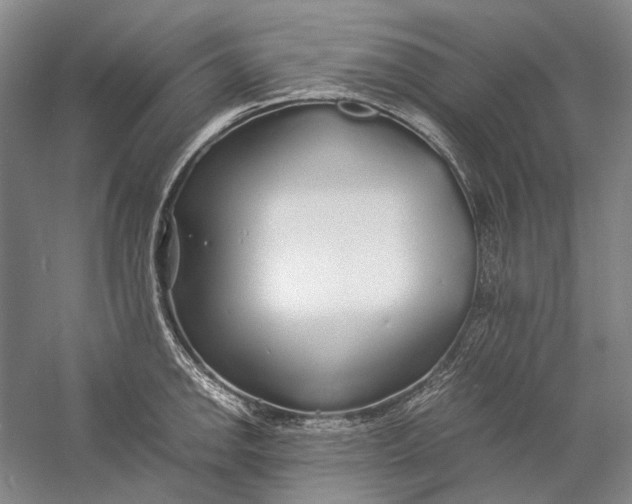 X0000060781142200512011632