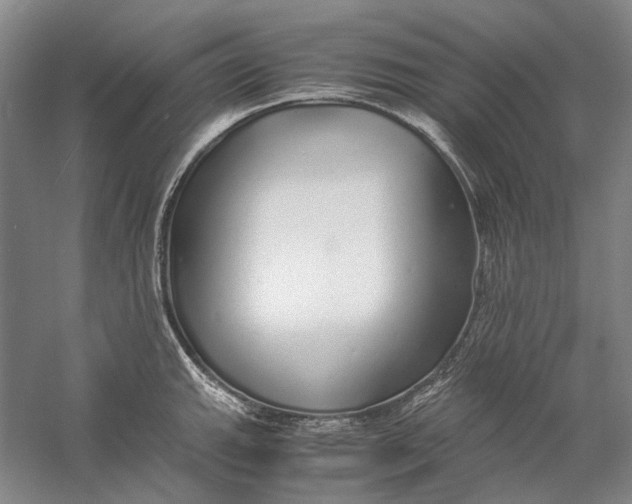 X0000060781143200512011632