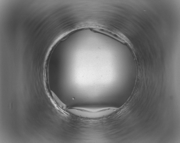 X0000060781144200512011632