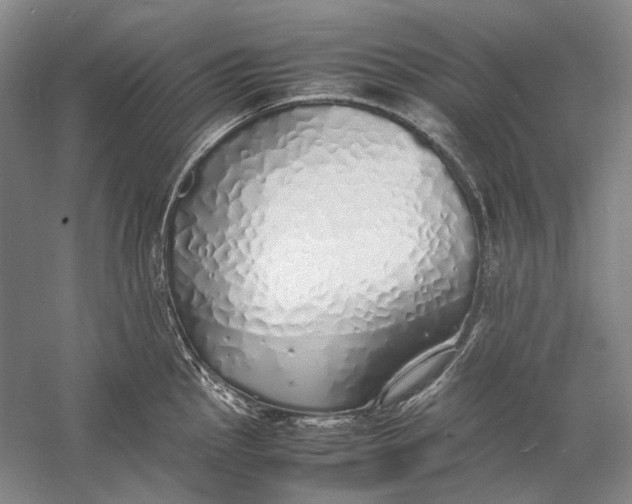 X0000060781145200512011632