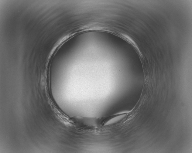 X0000060781146200512011632