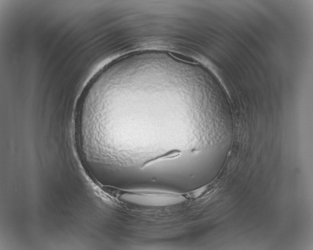 X0000060781147200512011632