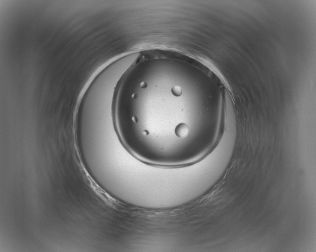 X0000060781148200512011632
