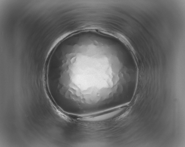 X0000060781149200512011632