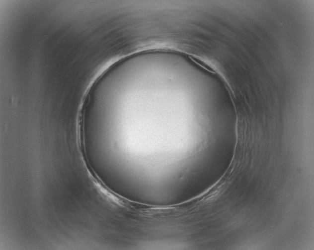 X0000060781151200512011632