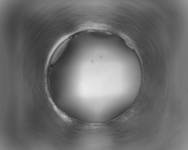 X0000060781152200512011632