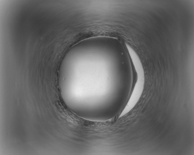 X0000060781153200512011631