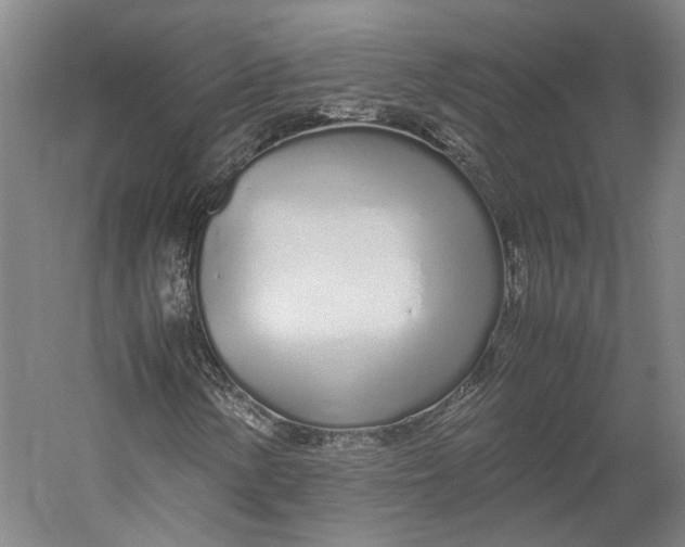 X0000060781154200512011631