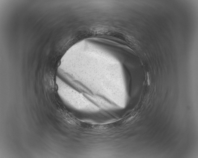 X0000060781155200512011631