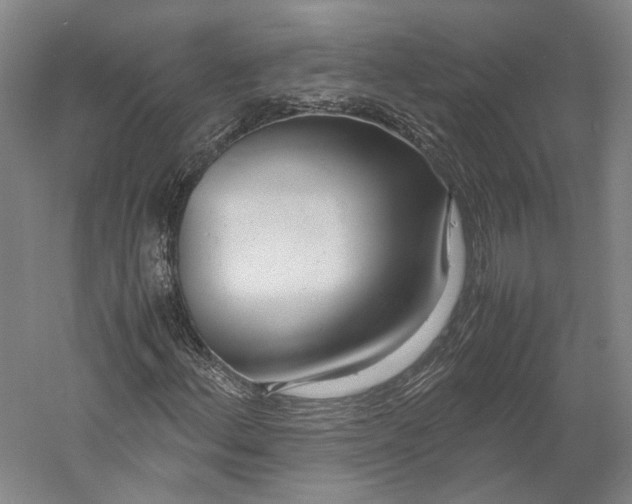 X0000060781156200512011631