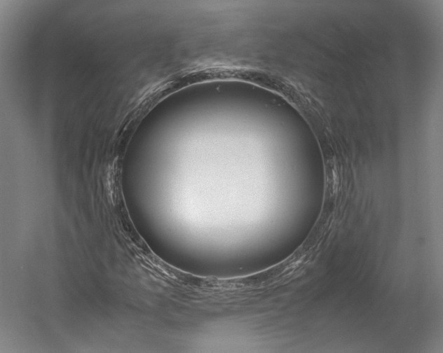 X0000060781157200512011631