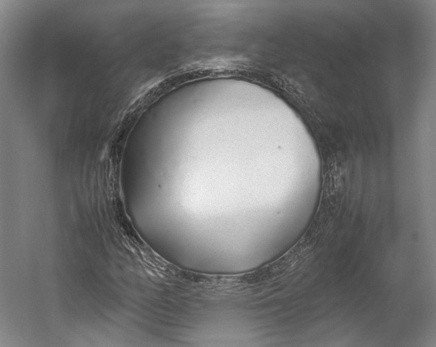 X0000060781158200512011631