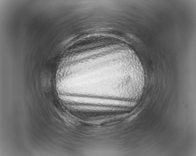 X0000060781161200512011631