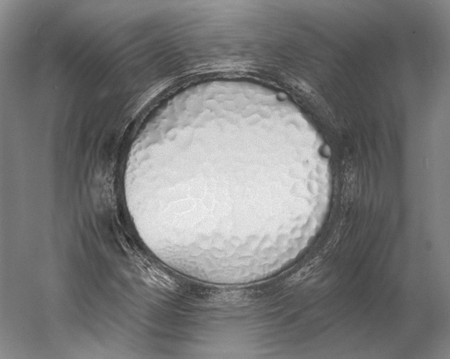 X0000060781162200512011631