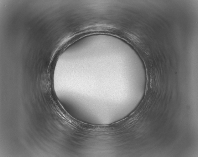X0000060781164200512011631