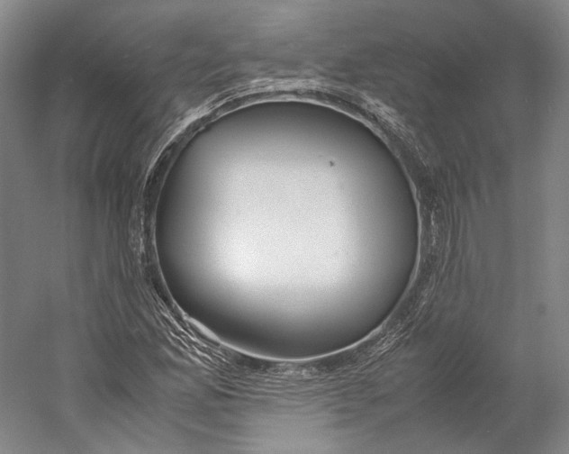 X0000060781165200512011631