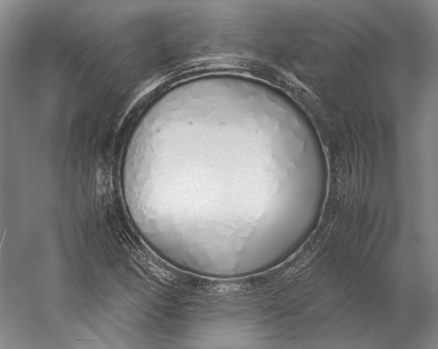 X0000060781166200512011631