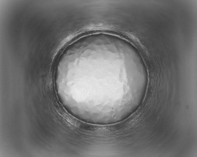 X0000060781167200512011631