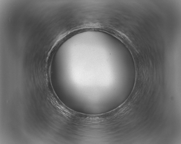 X0000060781168200512011631