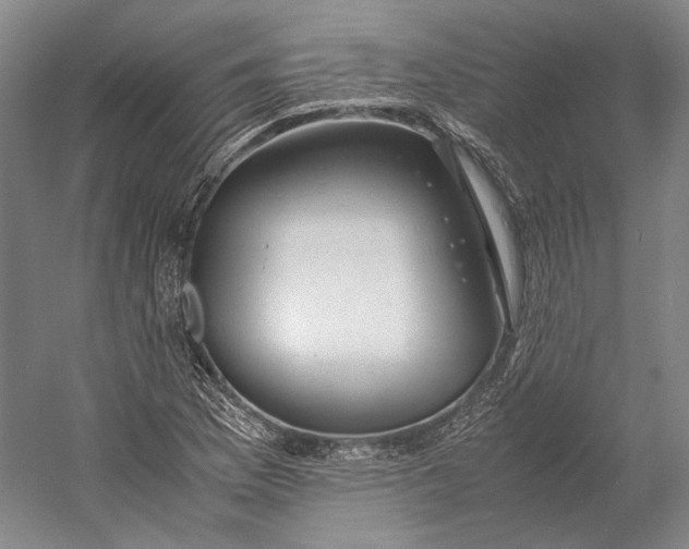 X0000060781169200512011631