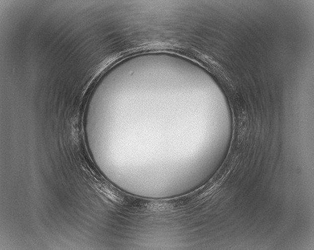 X0000060781170200512011631