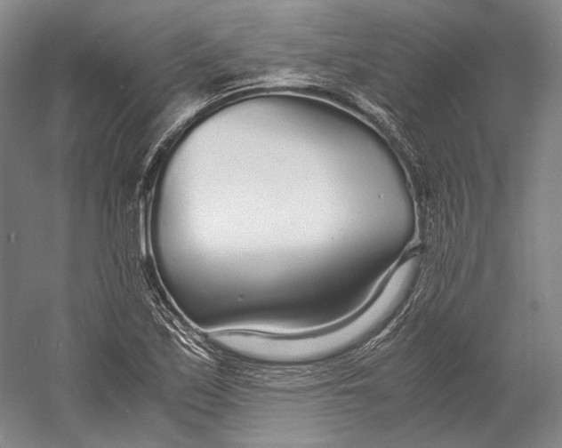 X0000060781171200512011631