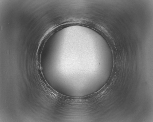 X0000060781172200512011631