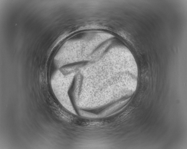X0000060781173200512011631