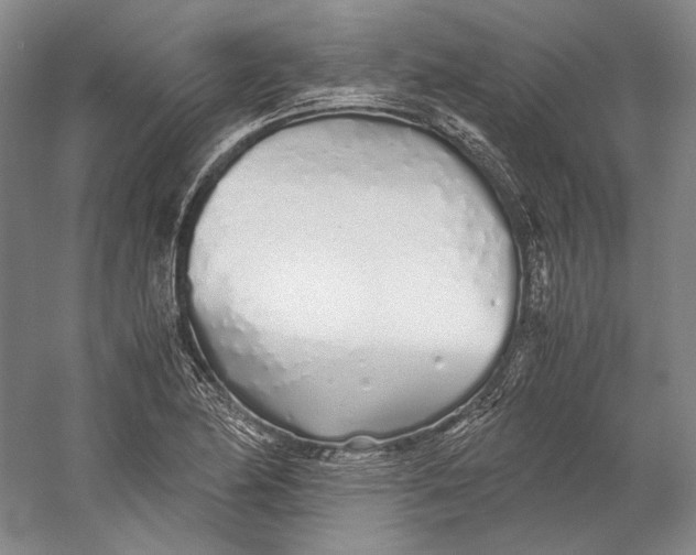 X0000060781174200512011631