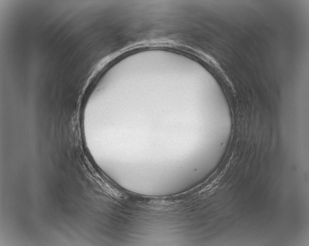 X0000060781176200512011631