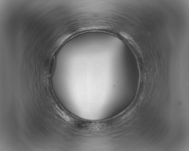X0000060781177200512011630