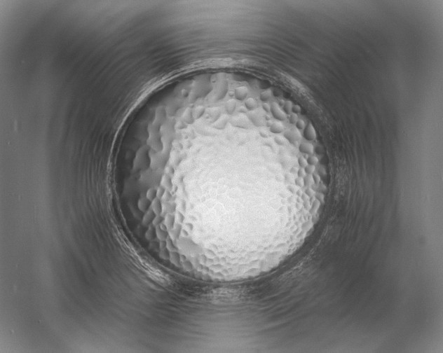 X0000060781178200512011630