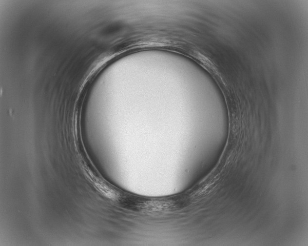 X0000060781179200512011630