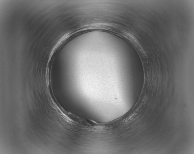 X0000060781180200512011630
