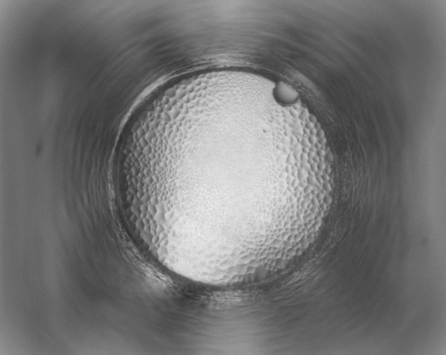 X0000060781182200512011630