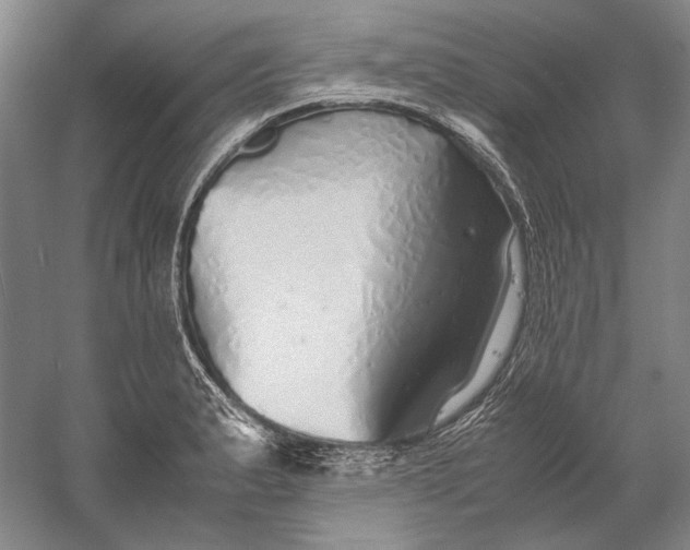 X0000060781183200512011630