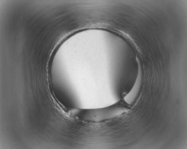 X0000060781184200512011630