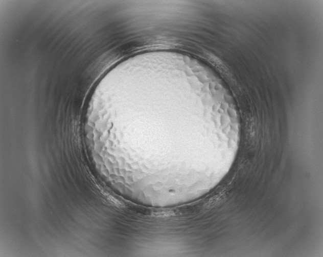 X0000060781186200512011630
