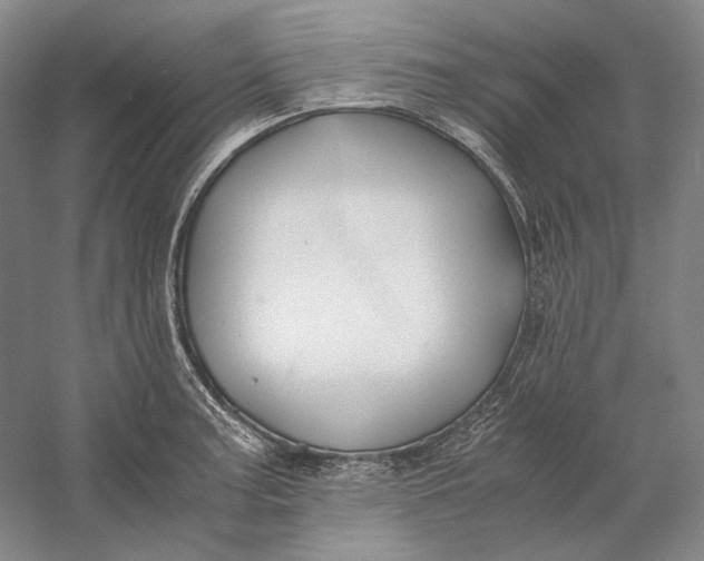 X0000060781187200512011630
