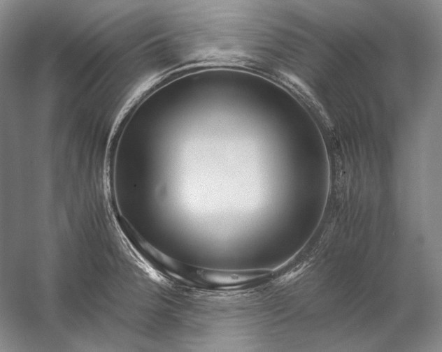 X0000060781188200512011630