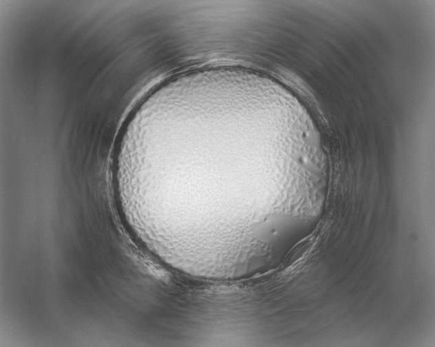 X0000060781190200512011630