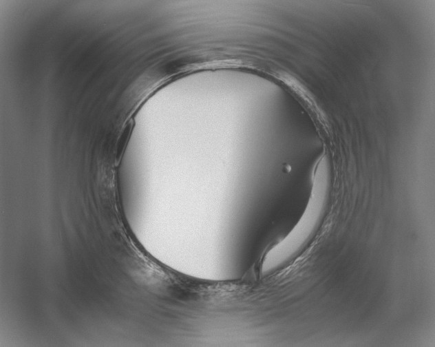 X0000060781193200512011630