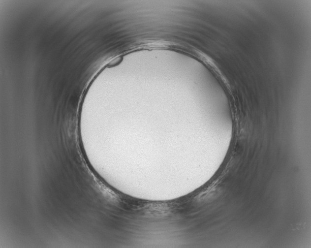 X0000060781194200512011630