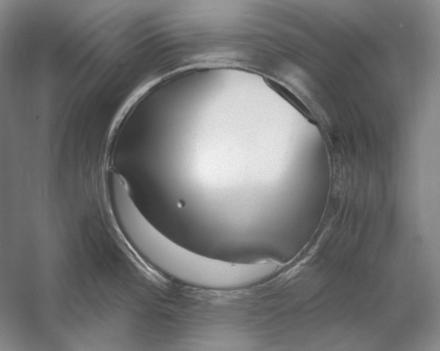 X0000060781196200512011630