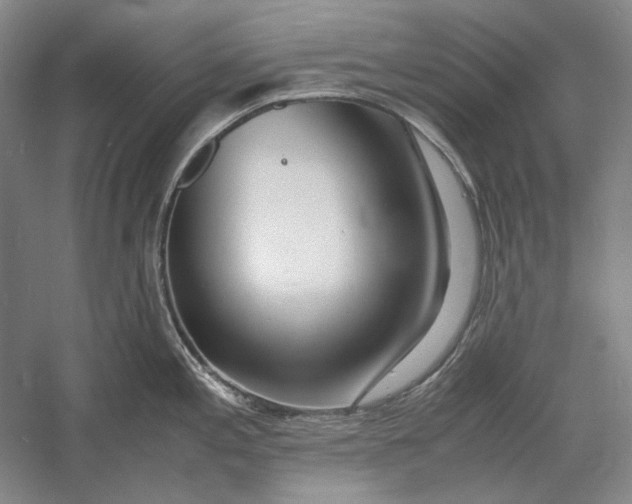X0000060781197200512011630