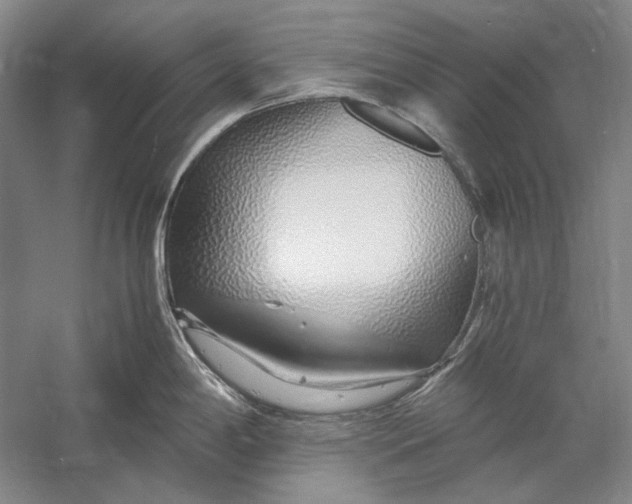 X0000060781198200512011630